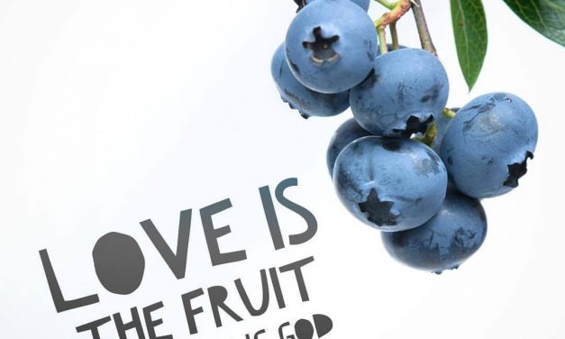 Fruit of Trusting God